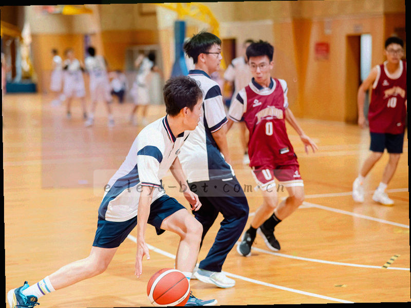 手机端乐鱼体育APP主界面功能示意